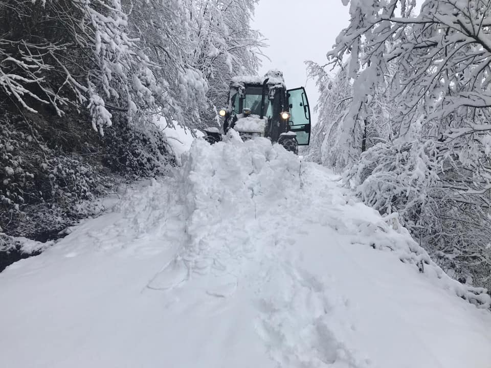 KAR EZ�YET OLMAYACAK.